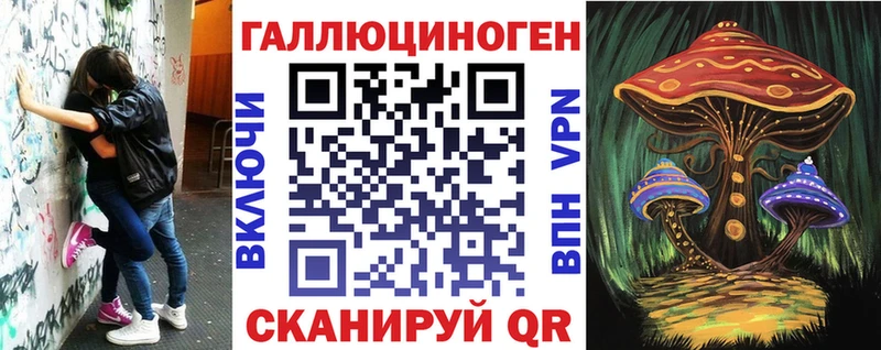 Псилоцибиновые грибы Psilocybine cubensis  Динская 